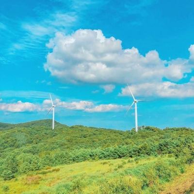 254俄罗斯app